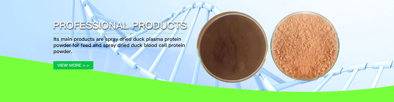 Nevel - droge Plasmaproteïne