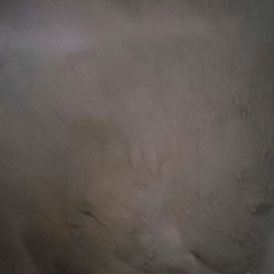 Duck Blood Cell Animal Feed-de Maaltijd van het Poederbloed voor het Eiwitpoeder van het Gevogeltevoer