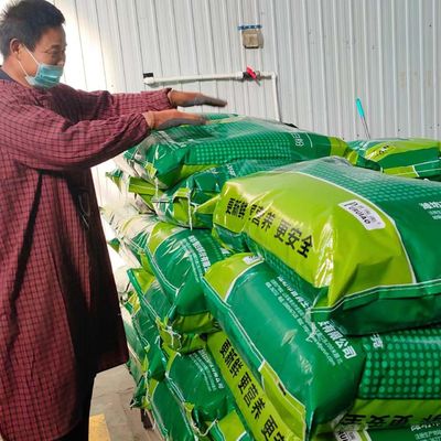 Nevel van het vee de Eiwitvoer - de droge Maaltijd van het Plasma Eiwitbloed voor Gevogelte