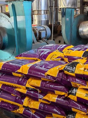 Isoelektrisch punt 7.3 Geconcentreerd poeder van hemoglobine Voedingssupplement binnen 2-8°C