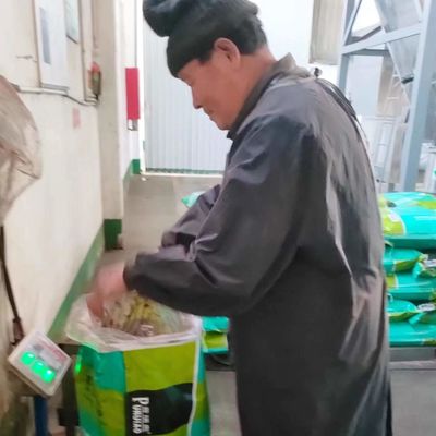 30kg van de Hondevoeradditieven van het gevogeltevoer het Gezonde Poeder van de het Bloedmaaltijd